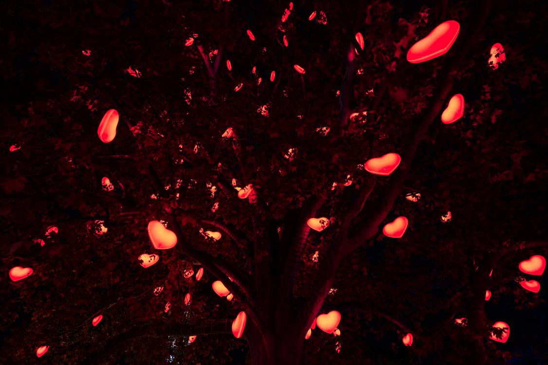 Drvce Sa Svjetlećim Srcima Na Sajmu © Stadtwienmarketing Johannes Wiedl